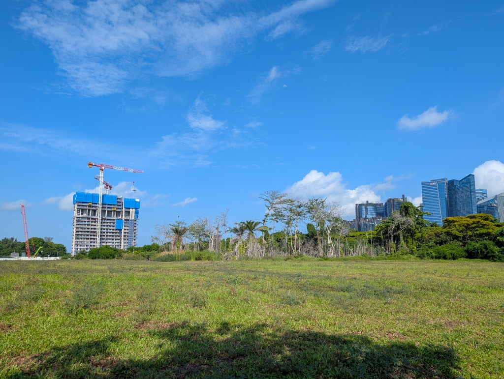 Marina Grove pond